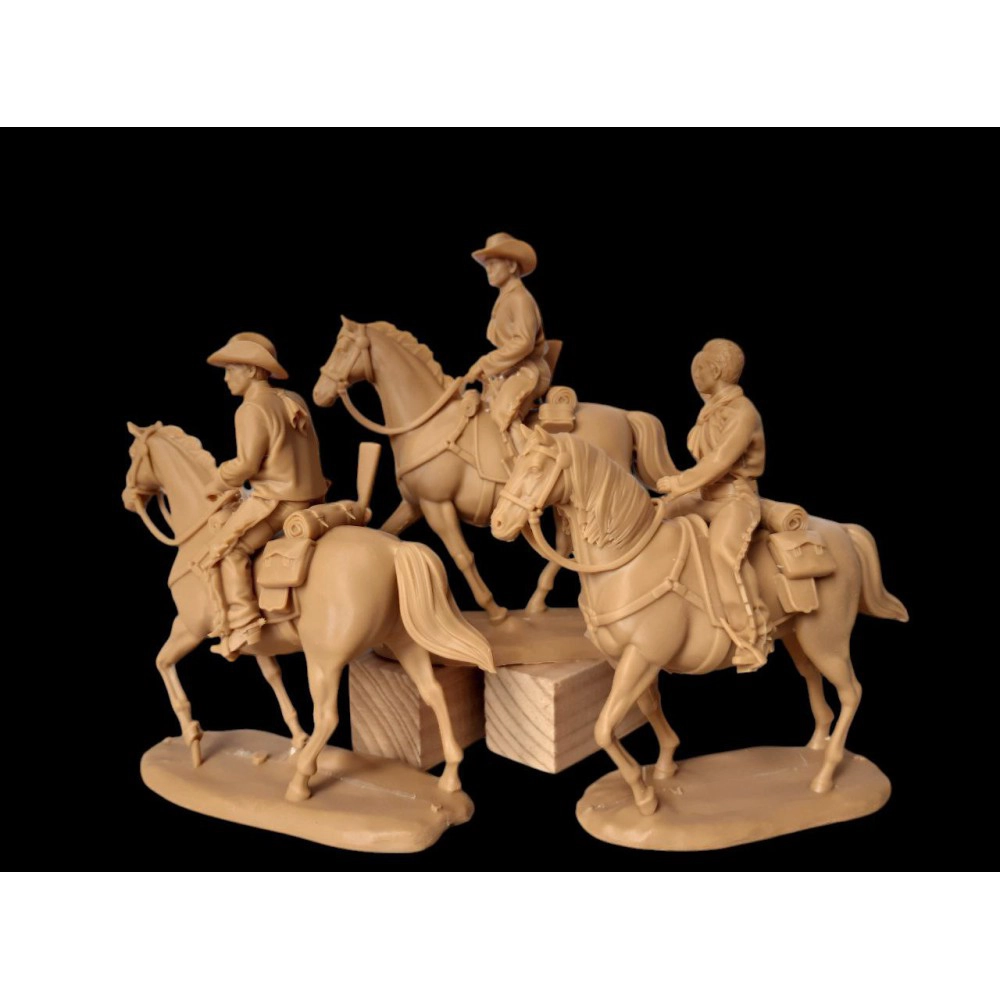 TN062 "Ковбои на лошадях"