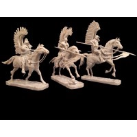 TN088 Польские 