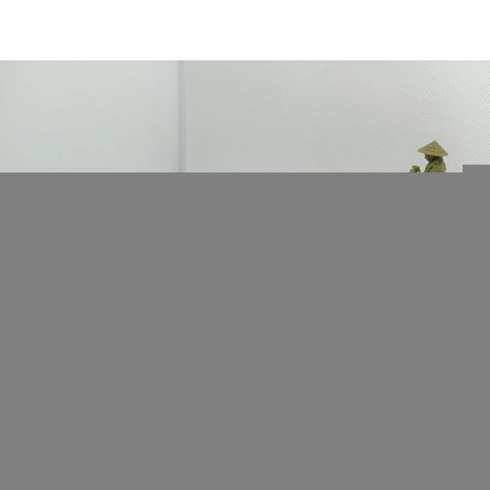 TN029 "Вьетнам 02 "Лодка на Меконге"