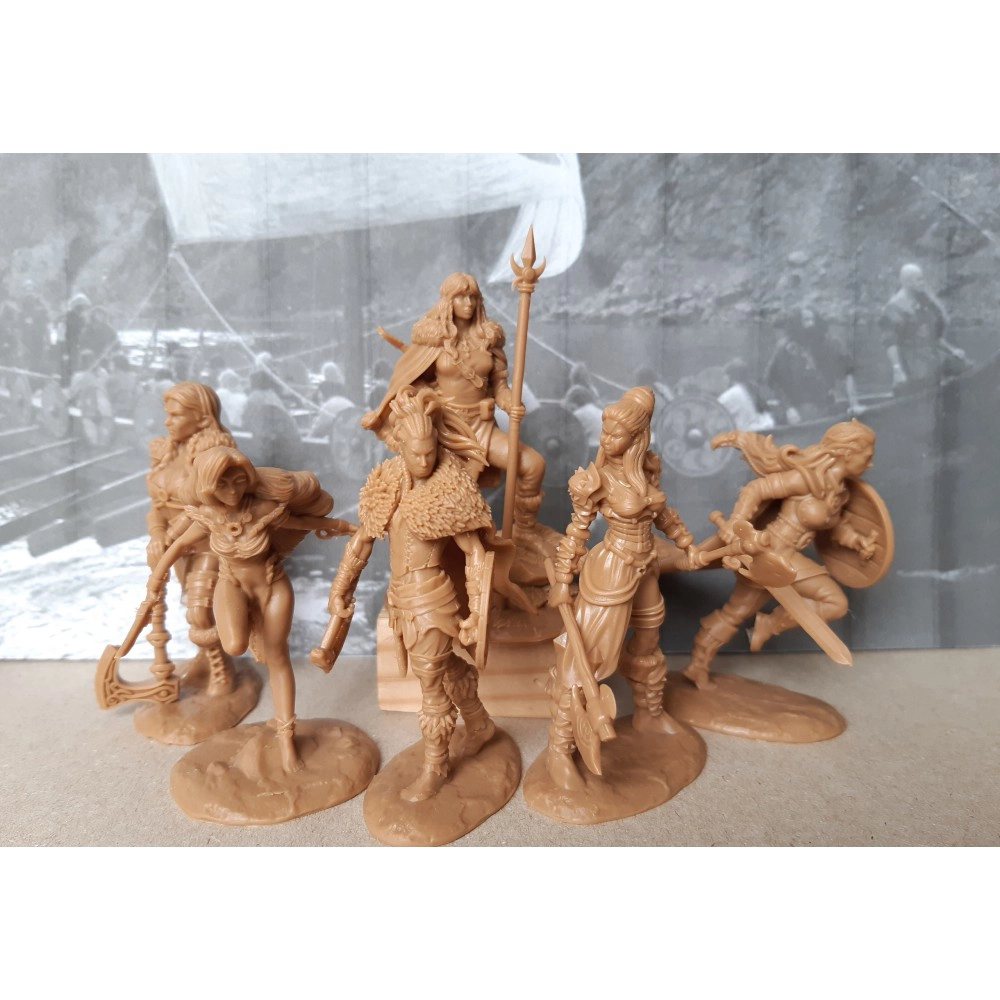 Набор солдатиков "Валькирии"