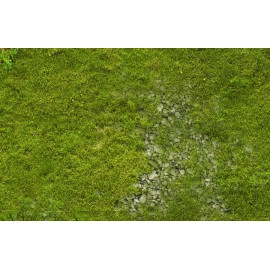 Игровое поле bm014 Трава