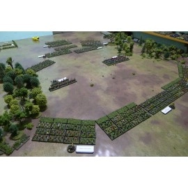 Игровое поле bm019 Вытоптанное поле