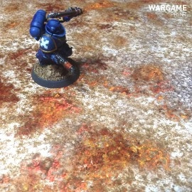 Игровое поле "Красная пустошь"