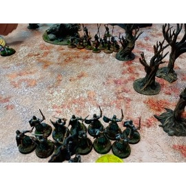 Игровое поле "Красная пустошь"