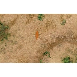 Игровое поле Саванна "54мм"