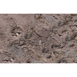 Игровое поле Скальная равнина