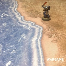 Игровое поле Каменистый берег