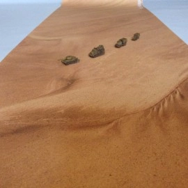 Игровое поле Сахара